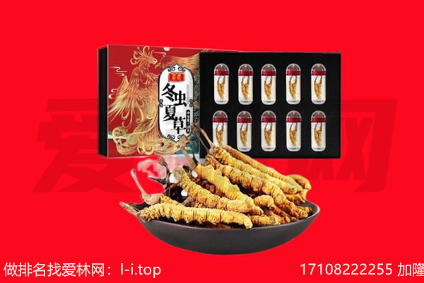 铜仁市回收虫草.jpg